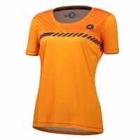Read Pactimo Reviews